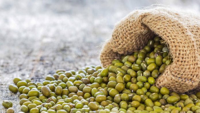 Mung Bean Protein